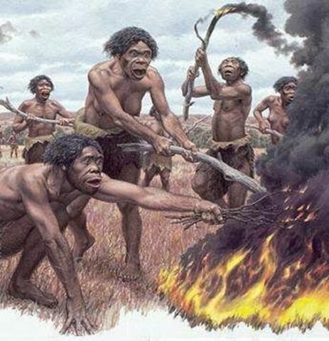 DESCUBRIMIENTO DEL FUEGO