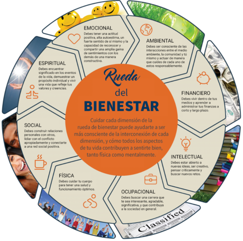 Modelo Holístico de Salud.