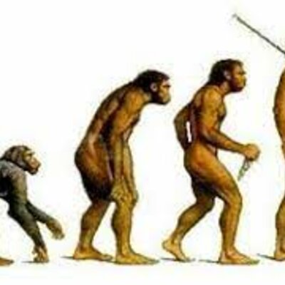 Timeline: Evolución