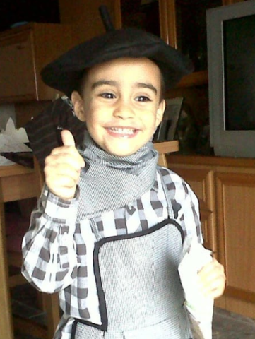 Més sobre el castanyer