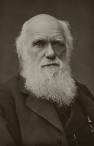 Charles Darwin Publishes His Theory