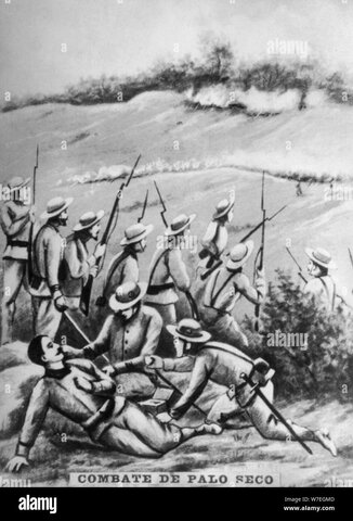 Combate de Palo Seco.