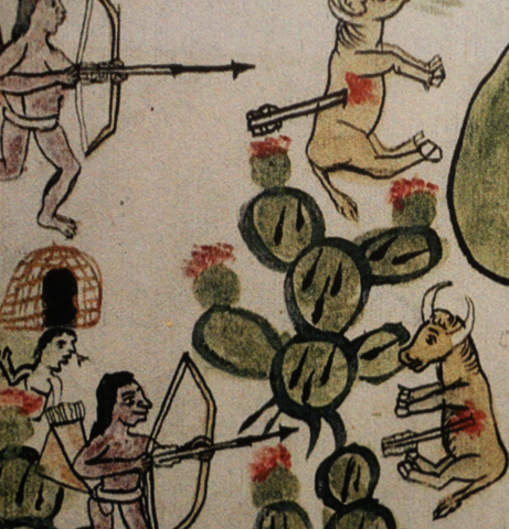 The Chichimeca War