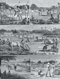 CONSECUENCIAS DEL IMPERIALISMO EN LAS METRÓPOLIS