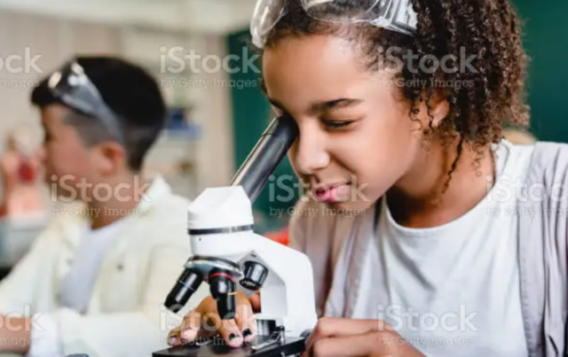 enfoque universalista-Teoría científica