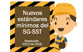 RESOLUCION 0312