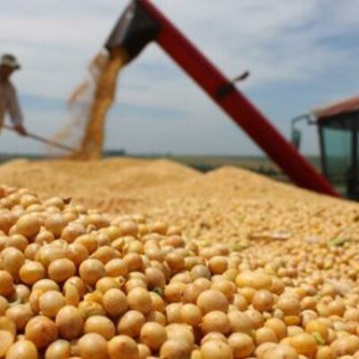 Timeline: Santa Cruz Economía