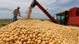 Timeline: Santa Cruz Economía