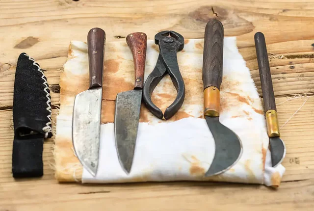 INSTRUMENTOS DENTALES XIX