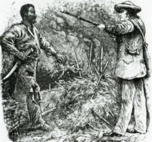 Nat Turners slave revolt