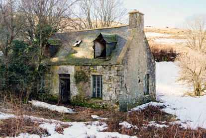 Early in the DAW Line