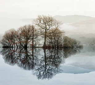 Birth of John Wallace (III)