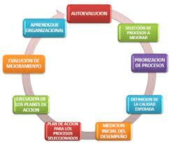 Guías Básicas para la Implementación de las Pautas de Auditoría para el Mejoramiento de la Calidad de la Atención en Salud.