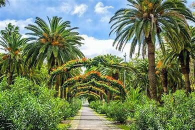 Park García Sanabria