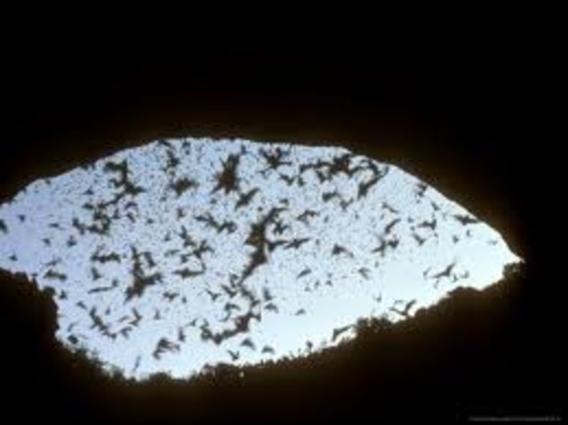 Time to Go Back Home