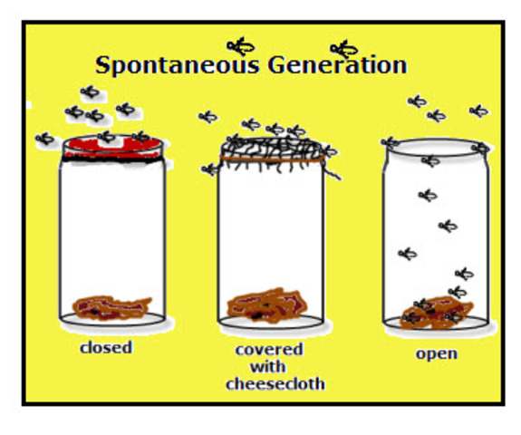 Spontaneous generation