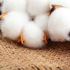 Desenvolupament de la industria textil