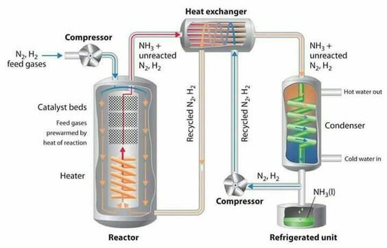 Nitrogen fixation