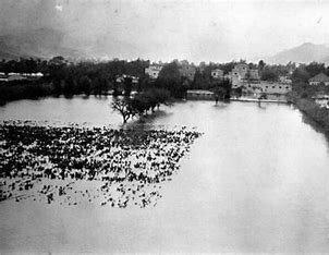 La Laguna Foundation