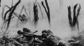 Timeline: timline project