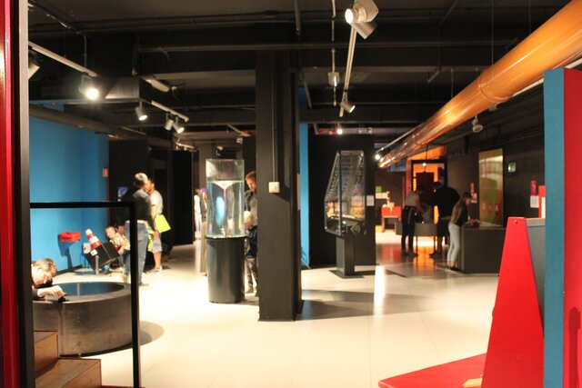 Visita al Museo Scientifico 9:00 - 11:00