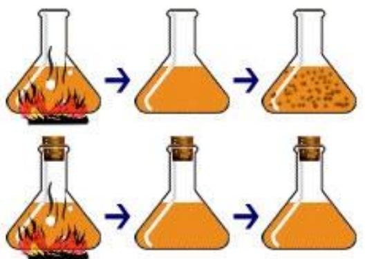 Experiment d'Spallanzani