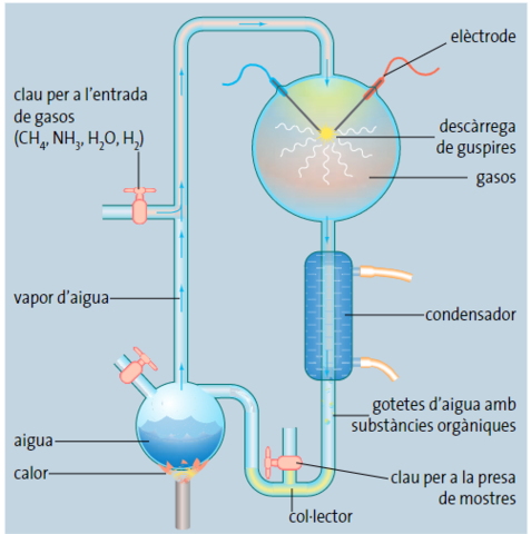 L’atmosfera primitiva de Miller (& Urey)