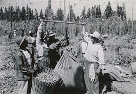 Government Programs (Bracero Program 1942)