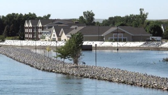 Some Homeowners Move Back Home