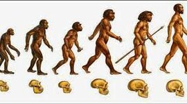 Timeline: Los homínidos