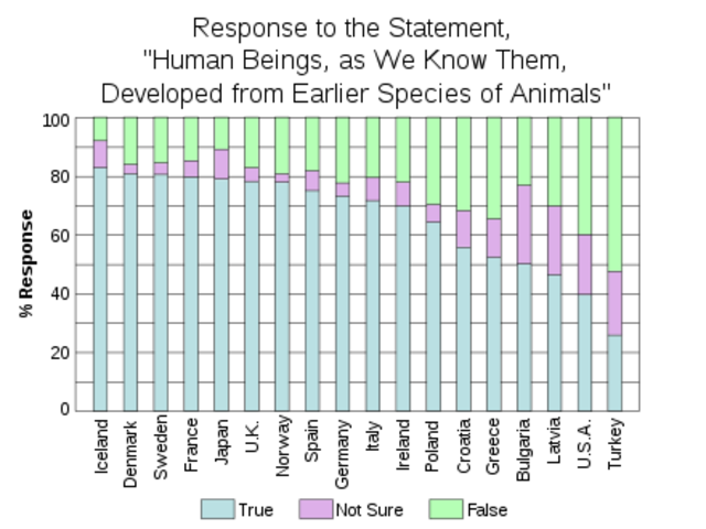 The Theory of  "Great Chain of Being."