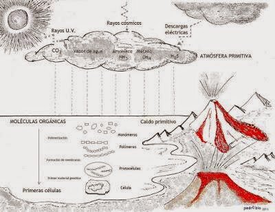 El brou primitiu de Oparin