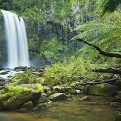 Timeline: Origen de la Vida