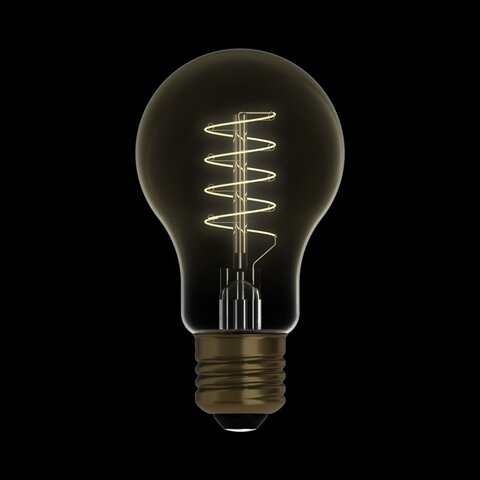 Thomas Edison invented the light bulb.