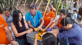 Timeline: Iniciativas culturales