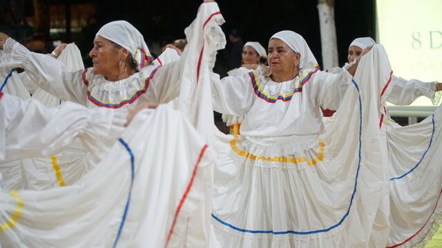 PROGRAMAS A DESARROLLAR EN EL CENTRO DIA AL ADULTO MAYOR