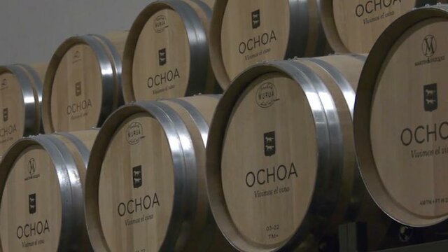 Fundación de Bodegas Ochoa