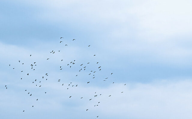 Recuperant la esperança