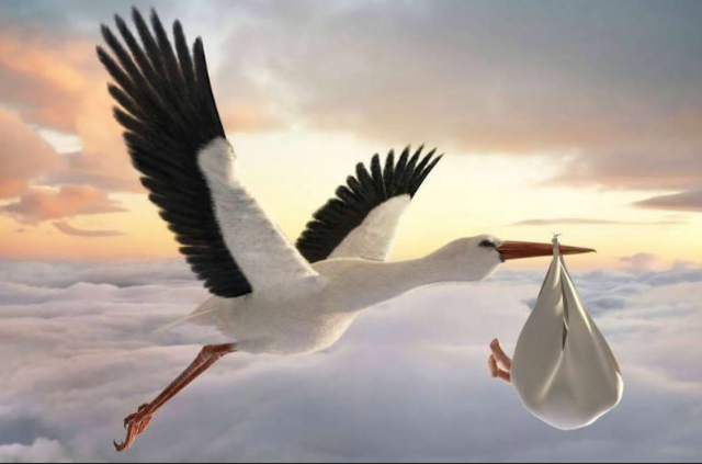 el naiximent del meu germa