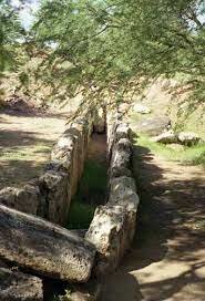 Evolución de Salud Pública en México. "alcantarillado"