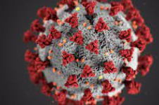 The downfall of economy because of COVID