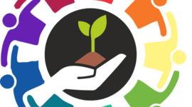 Timeline: Línea de tiempo de la Orientación Educativa