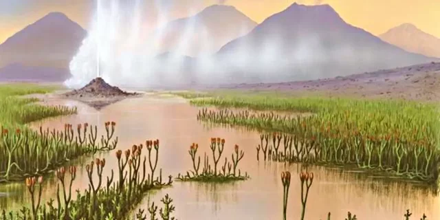 APARICIÓN PRIMERAS PLANTAS TERRESTRES - Hace 450 Ma