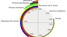 Timeline: LÍNEA DEL TIEMPO - EVOLUCIÓN