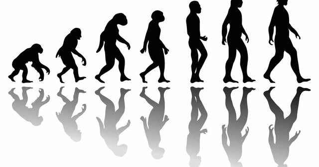 Antecedentes de la educación