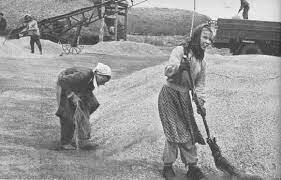 LA COLECTIVIZACIÓN AGRARIA