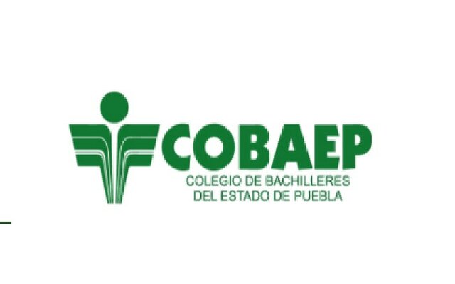 Bachiller