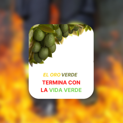 Timeline: La historia del aguacate