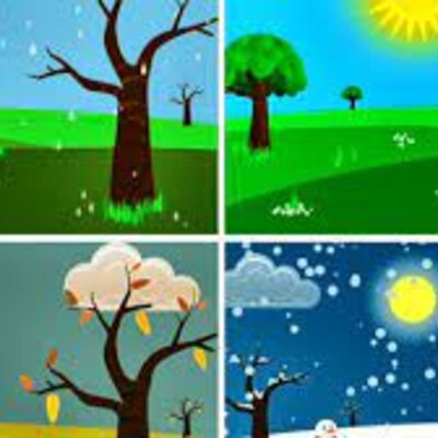 Timeline: ESTACIONES