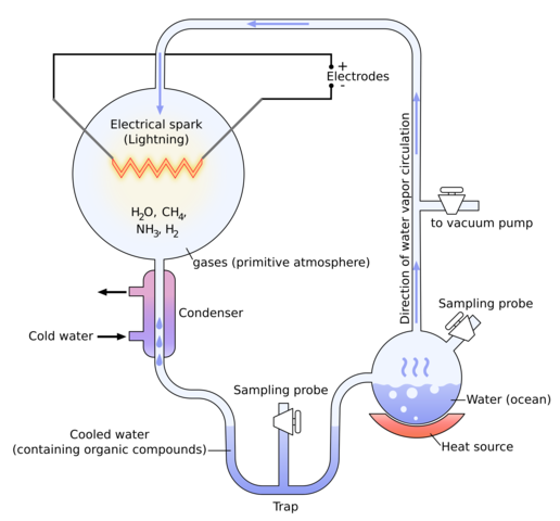 Experiment de Miller-Urey: L'atmòsfera primitiva